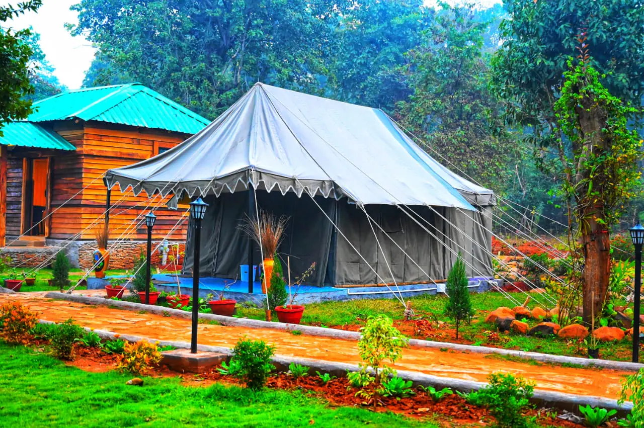 Camping in the forest